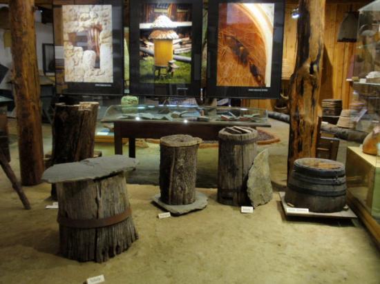 Exposition 2008