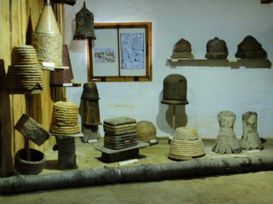 Exposition 2008