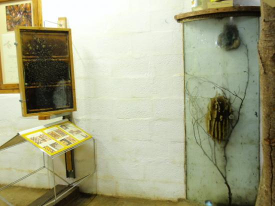Exposition 2008