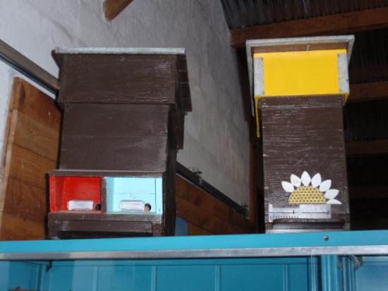 ruchettes d'élevage de reines
