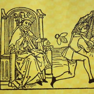 Illustrations