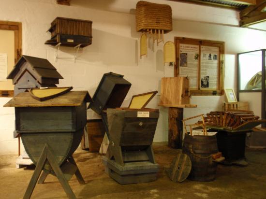 Exposition 2008
