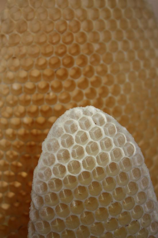 cire d'abeille: rayon d'un essaim