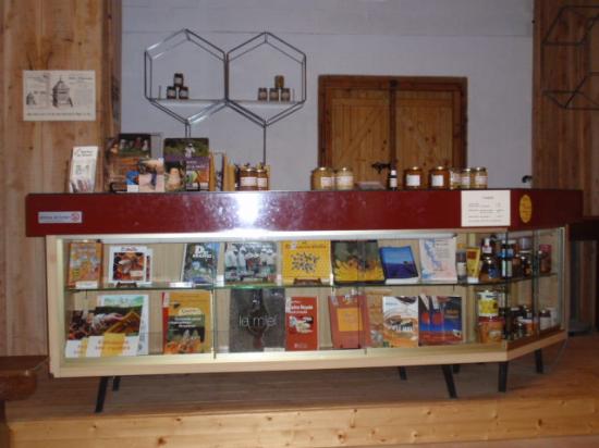 Exposition 2008