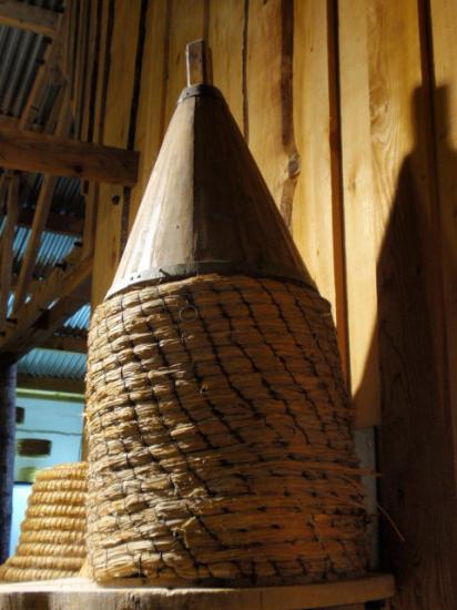ruche à capot