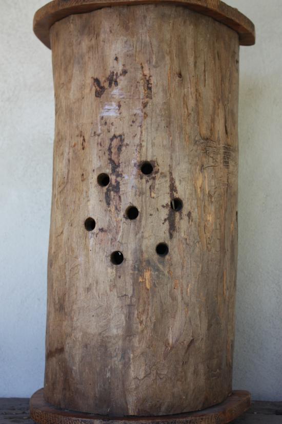 Ruche tronc du Briançonnais