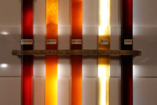 Orgue à miel (2009)