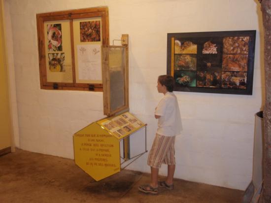 vue partielle 2007: une ruche d'observation en verre