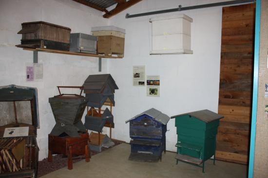 Exposition annuelle de Comps 2009