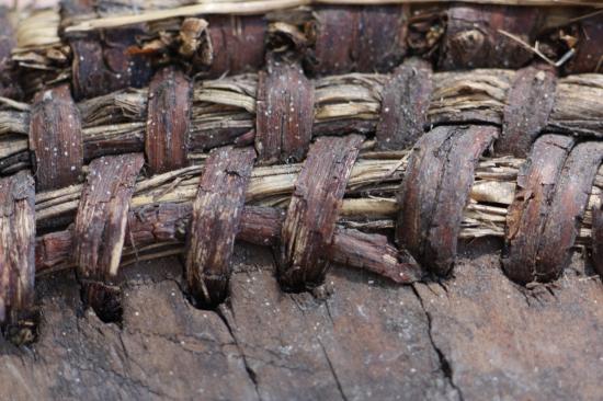 liaison paille et bois sur une ruche