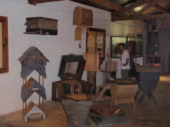 exposition 2007