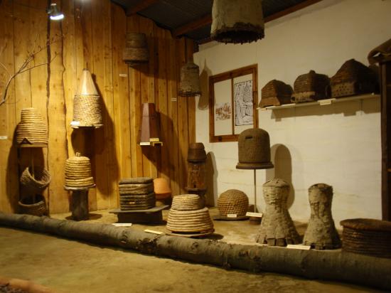 Exposition 2008