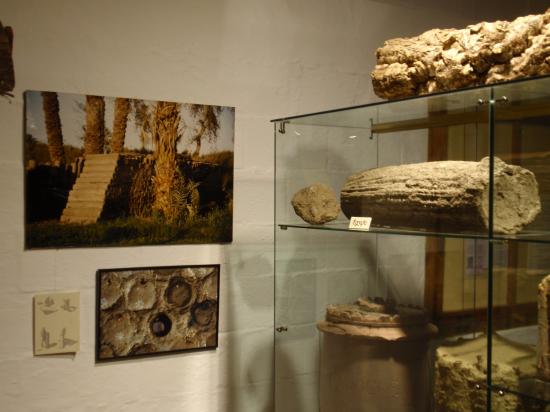 Exposition 2008